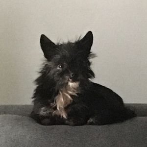 Meet your Posher, Kelli